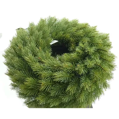 MeisterHome Couronne De Noël Artificielle Pour Porte 50 Cm – Couronne De Noël Pour L'intérieur Et L'extérieur Avec 35 LED, Minuterie Et Décoration Dorée + Crochet De Suspension Doré