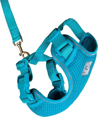 Zdjęcie produktu dla Szelki dla kota średnie zielono-niebieskie Szelki dla kota Adventure - regulowane (53804015)