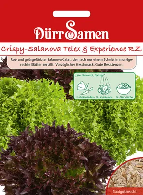 Produktbild von Dürr-Samen - Crispy-Salanova Telex + Experience RZ - Saatgut - 4251