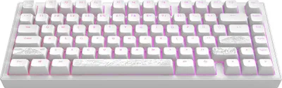 Obrázek produktu pro Dark Project ALU Terra Nostra R2 Mechanická herní klávesnice Bila - ANSI US Layout