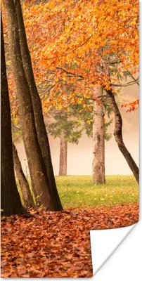 Produktbild von MuchoWow® Poster Blätter - Herbst - Wald 60x120 cm - Wandschmuck