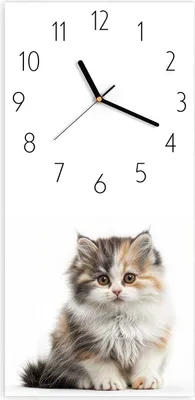 Produktbild von Wanduhr aus Glas mit Motiv Flauschige Katze- 30 x 60 cm - inkl. Aufhängesystem
