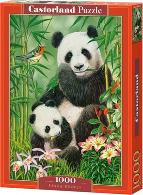 Image de Puzzle 1000 pièces Panda Brunch Castorland 104987