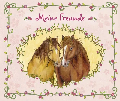 Immagine prodotto di Meine Freunde (Pferde)