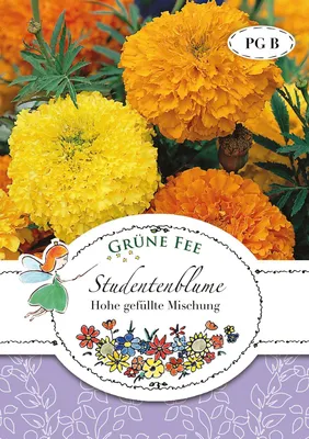 Artikelbild 1 von 'Studentenblume Hohe gefüllte Mischung' aus der Kategorie Studentenblumensamen