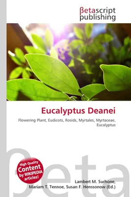 Produktbild von Eucalyptus Deanei