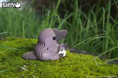 Produktbild von EUGY EUGY 3D - Schnabeltier