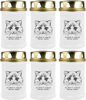 Productafbeelding van Witte theelichtjes, set van 6, brandduur: 48 uur (per theelichtje), afbeelding: kat 2