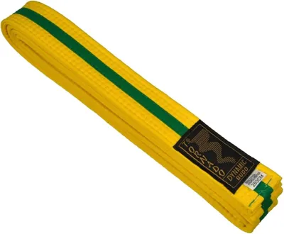 Produktbild von TEKKA BUDO Kampfsport Gürtel mit Mittelstreifen gelb-grün 280 cm 2-farbig - Budogürtel, Karate, Judo, Taekwondo, Ju-Jutsu