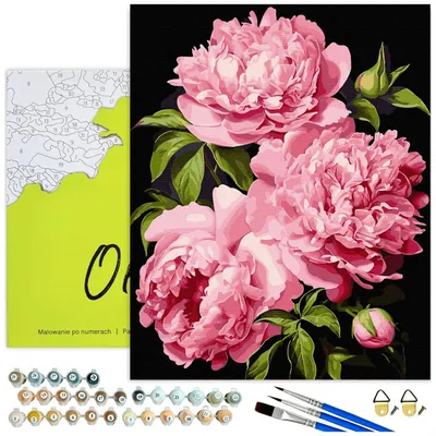 Produktbild von Malen nach Zahlen Erwachsene Rosa Pfingstrosen auf Schwarz mit Rahmen 40x50 cm