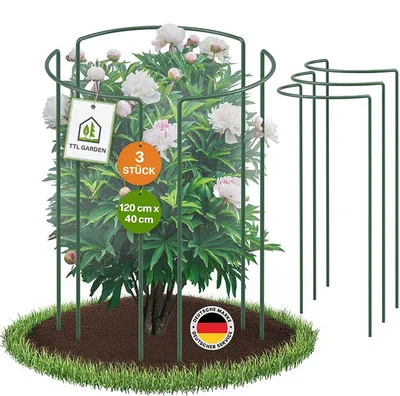Produktbild von TTL GARDEN Strauchstützen 120x40cm 3er Set Pflanzenstütze Stahl grün