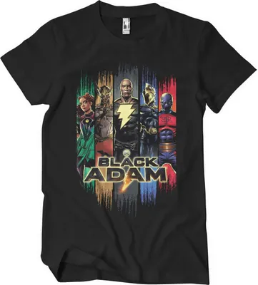 Produktbild von Black Adam Characters T-Shirt - Medium - Black