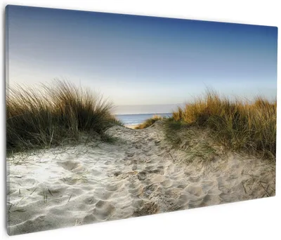 Produktbild von Wallario Premium Leinwandbild Weg durch die Dünen zum Strand am Meer in Größe 60 x 90 cm