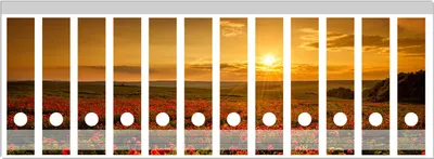 Produktbild von Wallario Ordnerrücken Sticker, selbstklebend für breite Ordner, 12 Stück, Motiv Mohnblumenwiese bei Sonnenuntergang am Abend