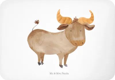 Produktbild von Mr. & Mrs. Panda magnet Sternzeichen Stier - Weiß - Geschenk, haftmagnet, zettelhalter, Rind, whiteboardmagnet, Ochse, Kühlschrankmagnet, Pinnwandmagnet, Geburtstag April