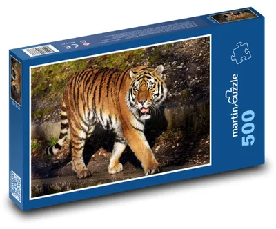 Zdjęcie produktu dla Puzzle 500 Tygrys na spacerze - martinpuzzle