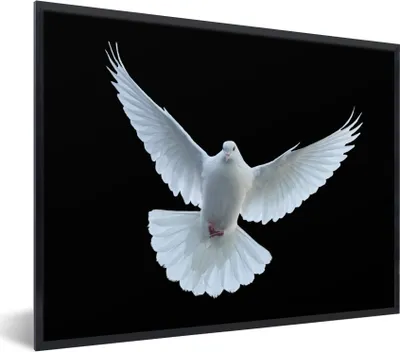 Produktbild von MuchoWow® Gerahmtes Poster Taube - Vogel - Schwarz - Weiß - Porträt 80x60 cm - Poster mit Schwarzem Bilderrahmen Wandposter Rahmen Foto Bilder - Schwarzem - Mit Gestell