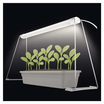 LED GROW pěstební lampa na sazenice 15 W, časovač, bílá