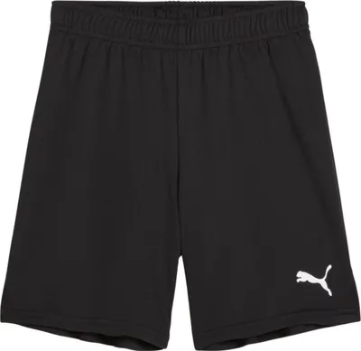 Immagine prodotto di Pantaloni Puma Team Goal S12979