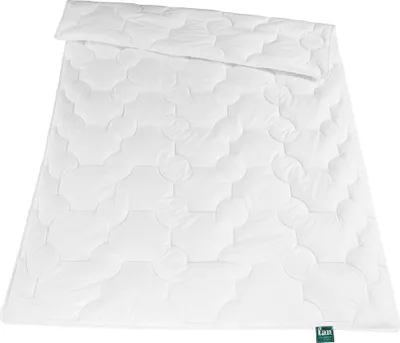Image de f.a.n. Frankenstolz Texas blanc