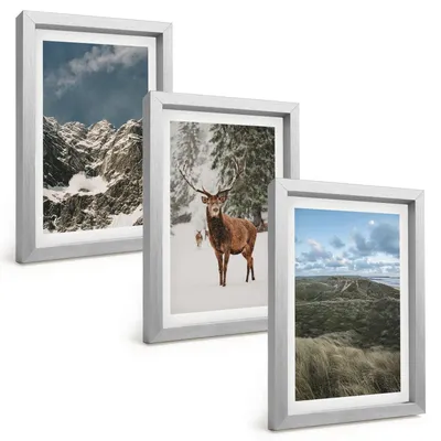 Produktbild von Bilder Set 3-teilig im silbergerahmten Rahmen – Wandbilder 3 Stück – gerahmte Poster für Wohnzimmer, Schlafzimmer und Flur – 20x30 cm – Berge, Schnee, Hirsche, Waldlandschaft