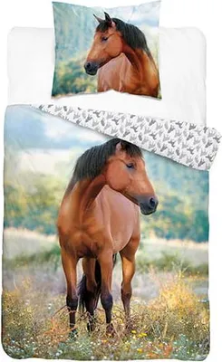 Produktbild von BROWN HORSE Jugendbettwäsche 140x200