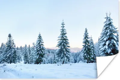 Produktbild von MuchoWow® Poster Winter - Schnee - Bäume 120x80 cm - Bilder