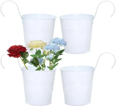 Image de Pots de fleurs suspendus en métal avec crochet amovible (blanc)