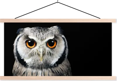 Produktbild von MuchoWow® Textilposter Nahaufnahme Eule 120x60 cm mit holzfarbenen Rahmen - Klemmleiste