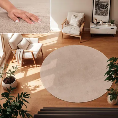 A living room scene with a round rug, chairs, and plants.