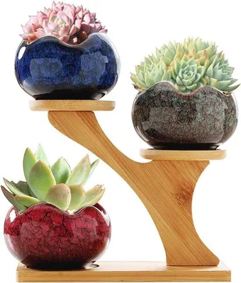Image de Pots de fleurs en céramique pour l'intérieur et l'extérieur