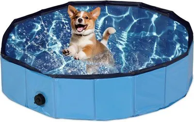 Produktbild von Famanu Hundepool faltbar blau 20 x 80 cm - ideal für kleine Hunde