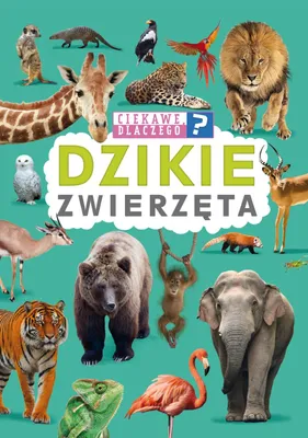 Productafbeelding van Dzikie Zwierzęta - Książka dla Dzieci i Młodzieży