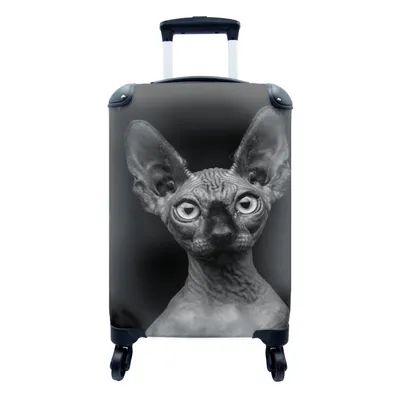 Produktbild von MuchoWow® Koffer Handgepäck Trolley Rollkoffer Kleine Reisekoffer mit 4 Rollen - Sphynx Katze auf schwarzem Hintergrund - schwarz und weiß - Cabin Size < 55x40x23 cm & 55x40x20 cm - Fotokoffer - Kabinenkoffer - Boardgepäck - Reise-Box - Reisekoffer - Reisegepäck - Koffer mit Bild - Trolley für Kinder