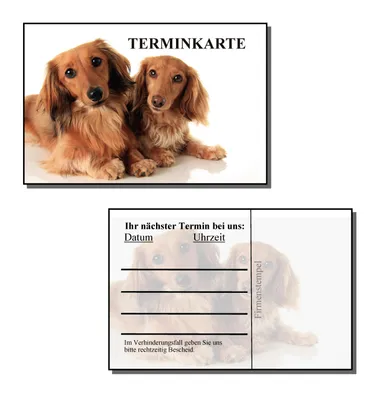 Produktbild von 400 Terminkarten Terminzettel Hundesalon Hundefrisör Hundefriseur Tierarzt Tierheilpraktiker 400Hund2