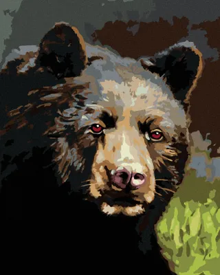 Obrázok produktu pre Zuty - Maľovanie podľa čísel - PORTRÉT MEDVEĎ (D. RUSTY RUST), 40x50 cm, vypnuté plátno na rám