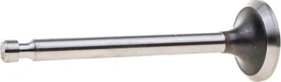 Obrázek produktu pro Výfukový ventil Honda GX240/270 8R57-38