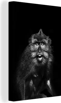 Produktbild von OneMillionCanvasses® - Leinwandbilder - 90x140 cm, Tierprofil Makake in schwarz und weiß, Wandbilder Kunstdruck Wanddekoration - Wandschmucke - Schlafzimmer