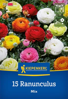 Produktbild von Kiepenkerl Ranunkel Mischung Ranunculus asiaticus 15 Zwiebeln