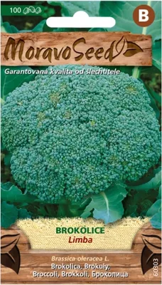 Image de Brocoli LIMBA 60303