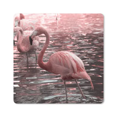 Produktbild von MuchoWow® Mauspad Mousepad Eine Gruppe von Flamingos steht im Wasser 20x20 cm - Mousepads - Maus Mat - Pad - Mausunterlage - Desk Mat - Bureauartikeln