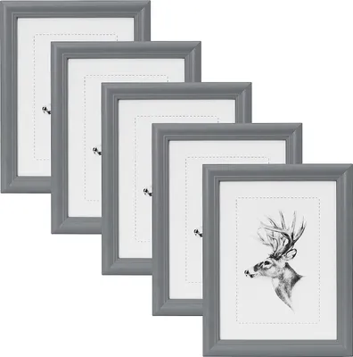 Produktbild von WOLTU 5er-Set Bilderrahmen, Artos Stil Holz Rahmen Glasscheibe Grau, 10x15 cm