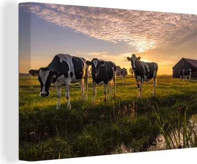 Produktbild von OneMillionCanvasses® - Leinwandbilder - 140x90 cm, Kuh - Tier - Wiese, Wandbilder Kunstdruck Wanddekoration