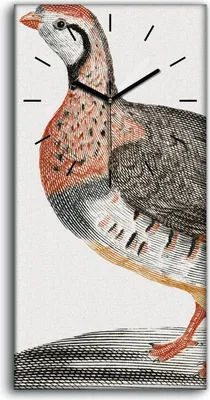 Produktbild von Wandbild Leinwand Bilder mit Uhr Geräuschlos 30x60 Zeichnung Tier Vogel Kunst - schwarze Hände