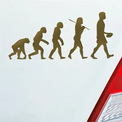 Produktbild von Auto Aufkleber Evolution Football Sport Ball 20x10 cm Gold Sticker Heckscheibenaufkleber