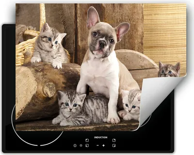 Produktbild von DarHaus Herdabdeckplatte 80x52 cm Anti Rutsch Matte Aufrollbar, Katzen und Hunde