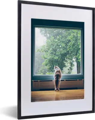 Produktbild von MuchoWow® MuchoWow® Gerahmtes Poster Katze am Fenster 30x40 cm - Poster mit zchwarzem Bilderrahmen - Wandposter Schlafzimmer