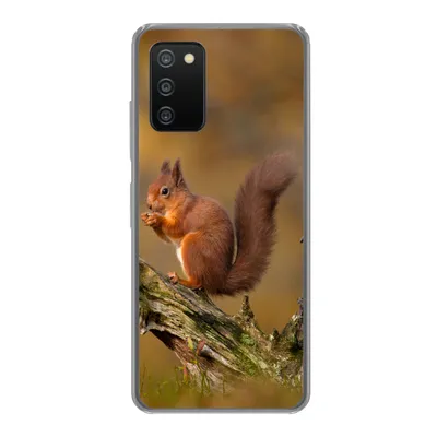 Produktbild von MuchoWow® Handyhülle Schutzhülle Hülle für Samsung Galaxy A03s Eichhörnchen - Baumstamm - Wald Silikon Softcase Handy Hülle - Schutz