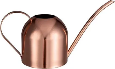 Produktbild von Famanu Gießkanne 1L aus Edelstahl mit langer Auslauf - Roségold