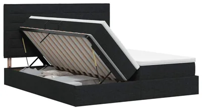 Image de vidaXL Lit de rangement avec tête de lit noir 200 x 200 cm Tissu